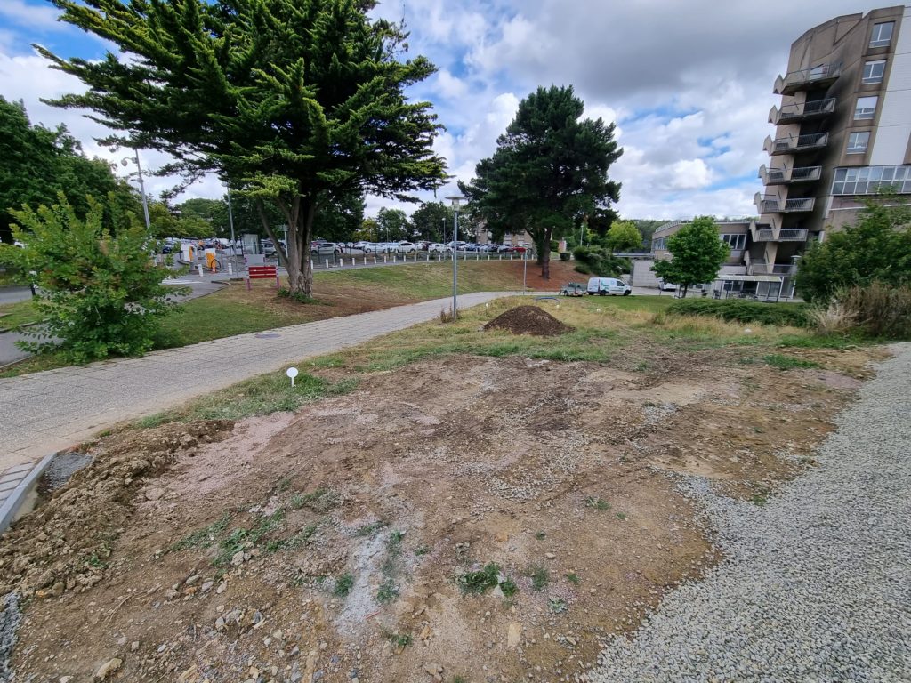 Terrasse bois naturel avec garde-corps inox et exotique