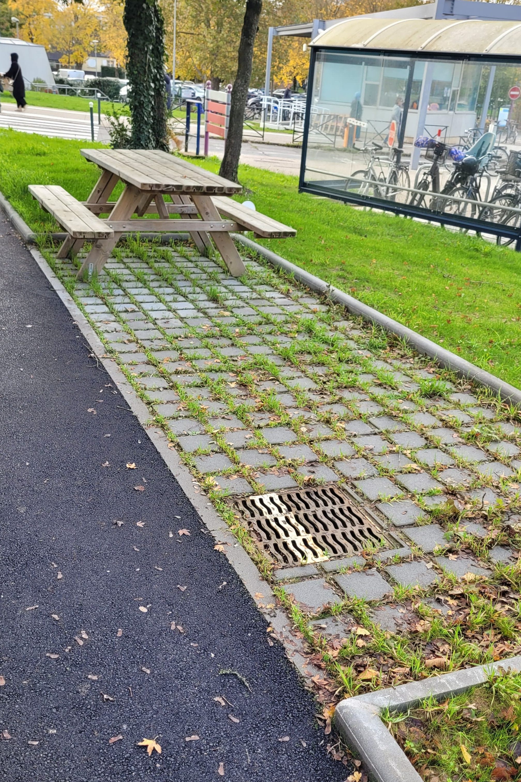 Espace public convivial avec bancs et végétation