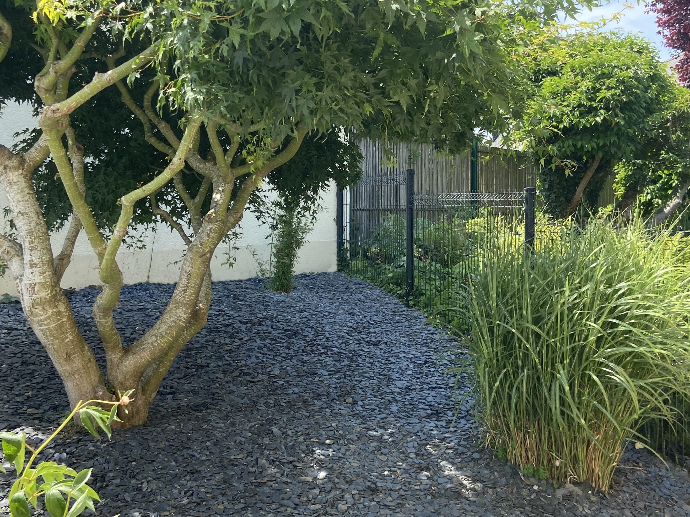 massif paysager avec érable sur paillage ardoise et clôture rigide aluminium
